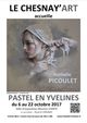 pastel-en-yvelines-2017